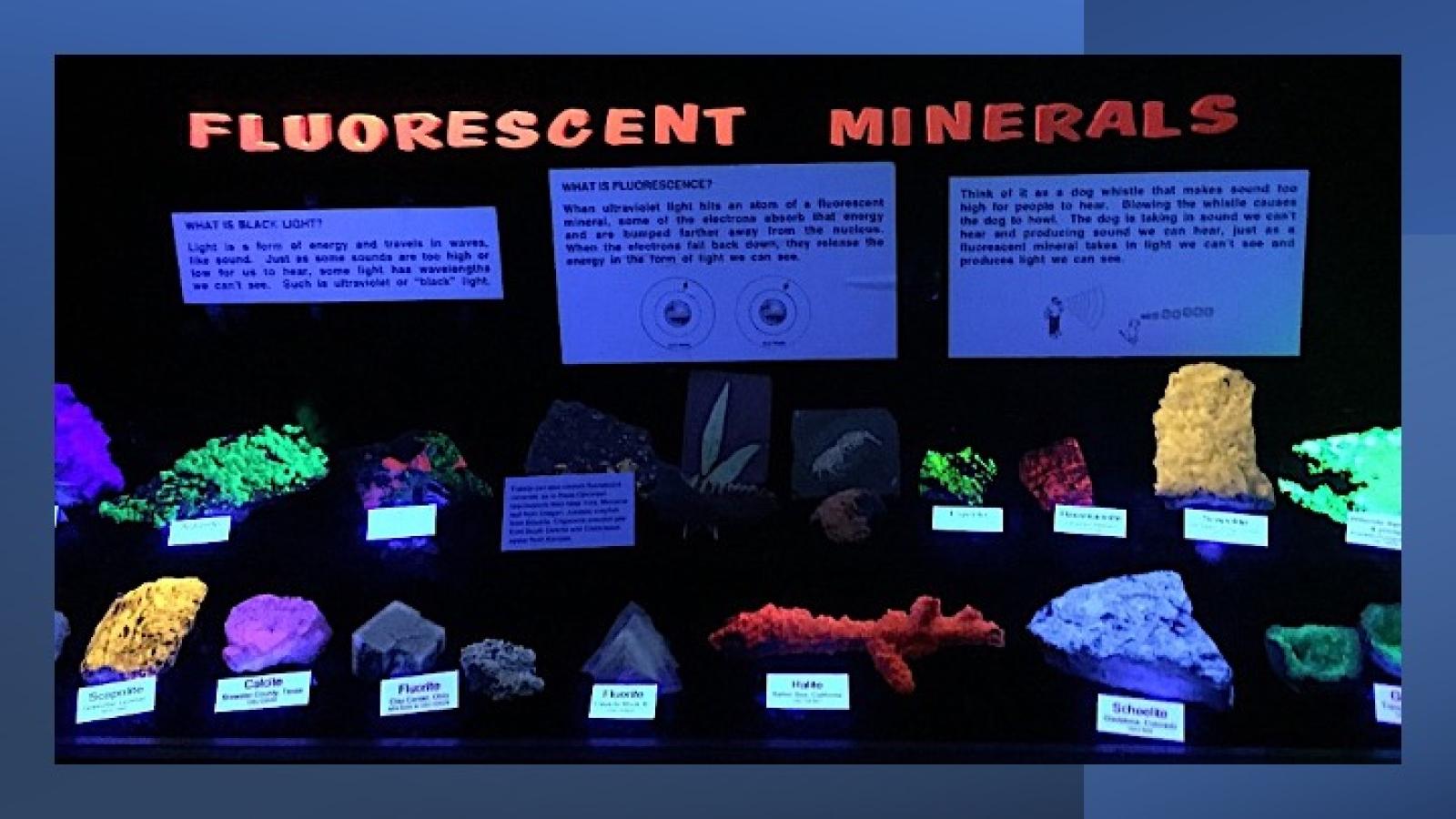 Fluorescent mineral display at the Orton Museum