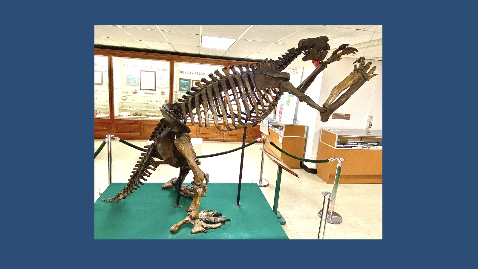 Jeff the Ground Sloth, Side View