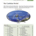 The Cambrian Period 2012
