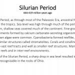 Ohio's Fossil Record - Silurian text
