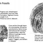 Ohio's Fossil Record - Silurian fossils