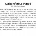 Ohio's Fossil Record - Carboniferous text