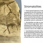 Stromatolites 1600x900